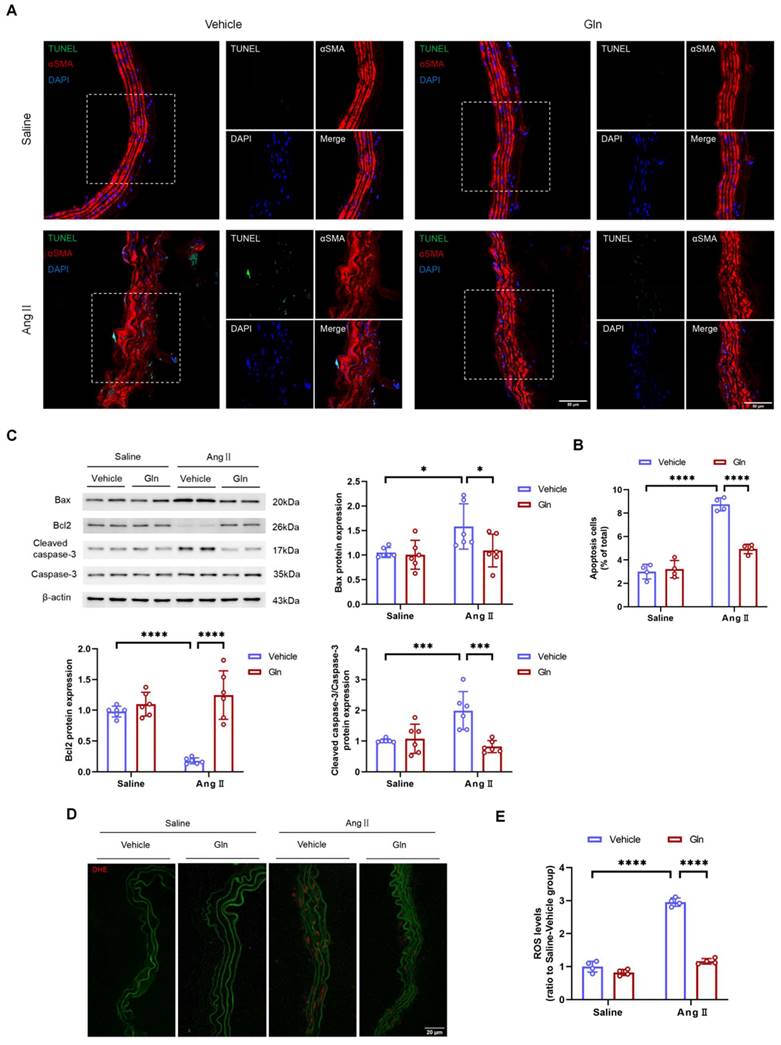 Int J Med Sci Image