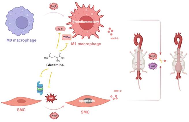Int J Med Sci Image