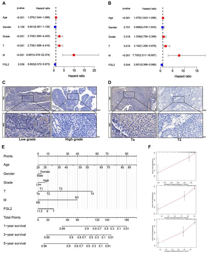 Int J Med Sci Image