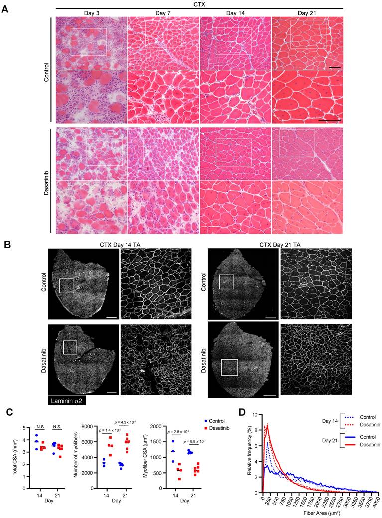 Int J Med Sci Image