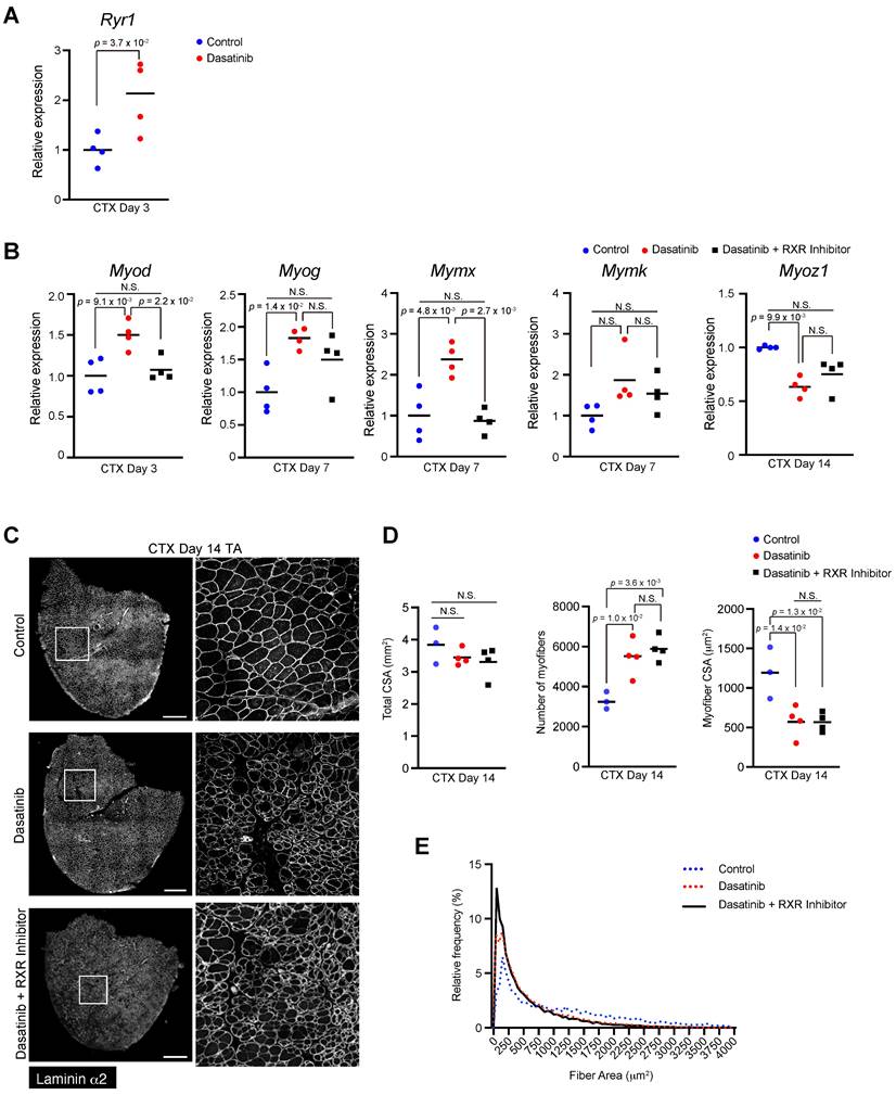 Int J Med Sci Image