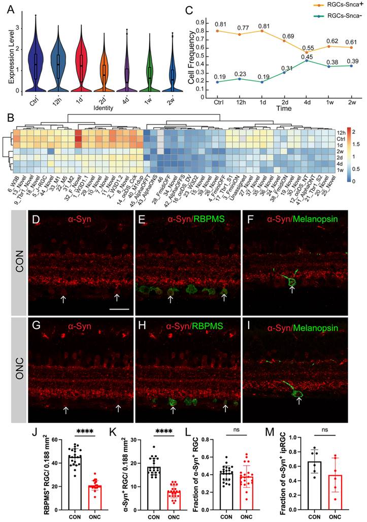 Int J Med Sci Image