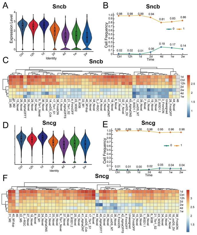 Int J Med Sci Image