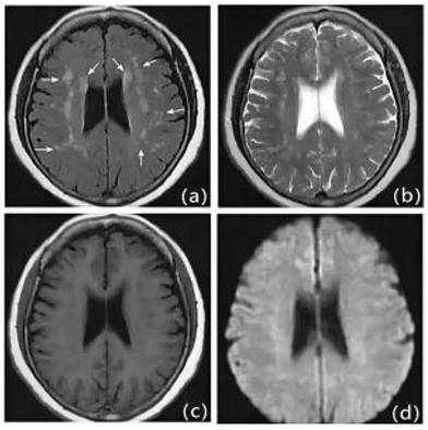 Int J Med Sci Image