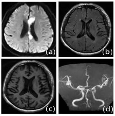 Int J Med Sci Image