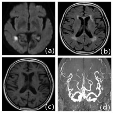 Int J Med Sci Image