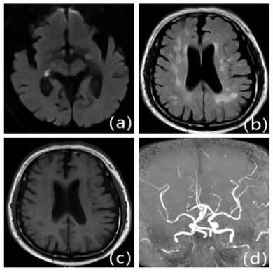 Int J Med Sci Image