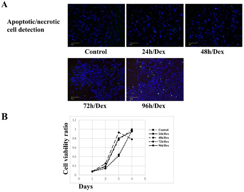 Int J Med Sci Image