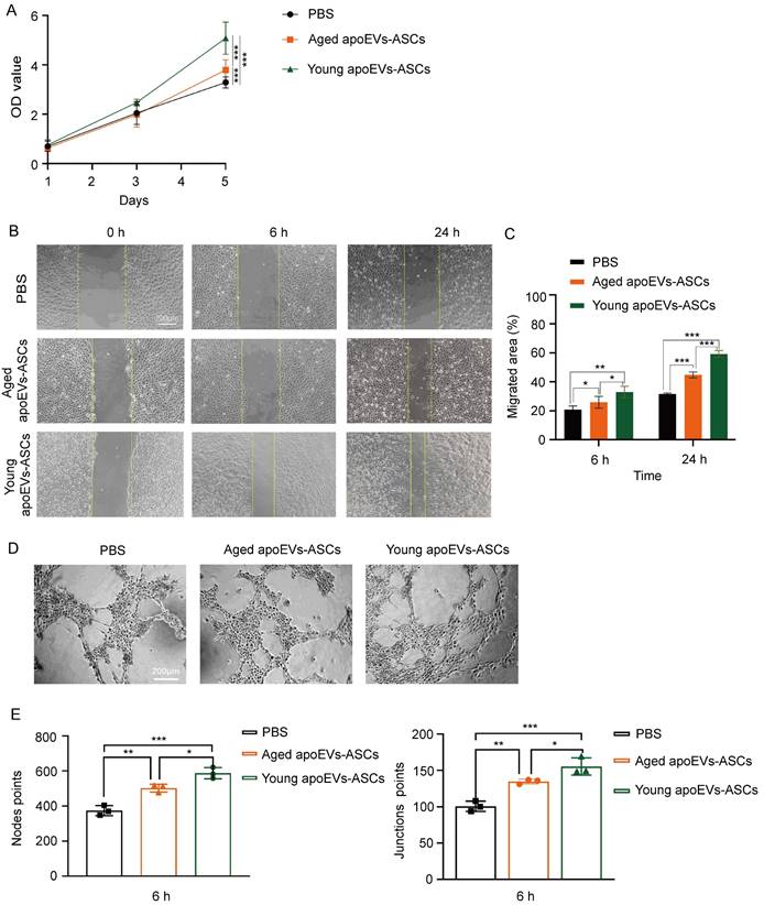 Int J Med Sci Image