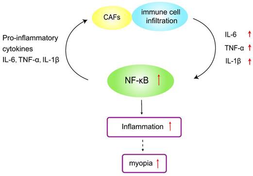 Int J Med Sci Image