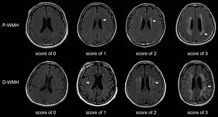 Int J Med Sci Image