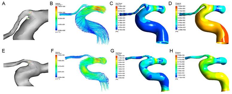 Int J Med Sci Image
