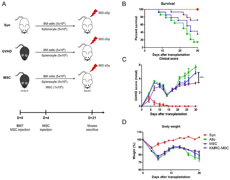 Int J Med Sci Image