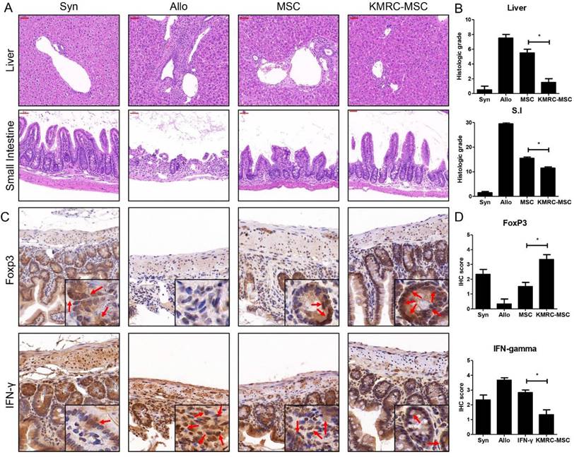 Int J Med Sci Image