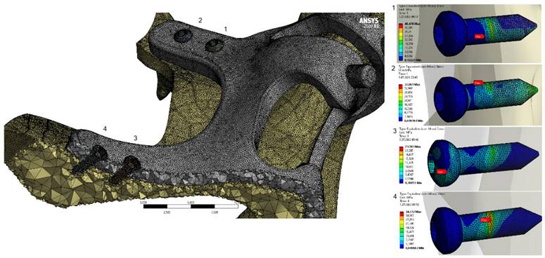 Int J Med Sci Image