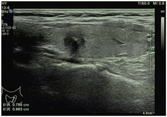 Int J Med Sci Image