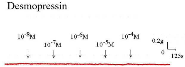 Int J Med Sci Image