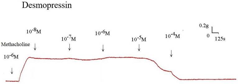 Int J Med Sci Image