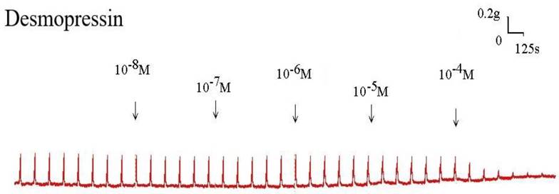Int J Med Sci Image