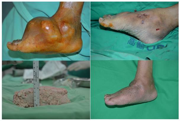 Int J Med Sci Image
