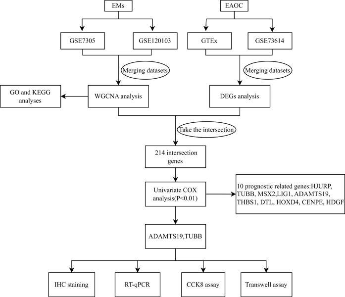 Int J Med Sci Image