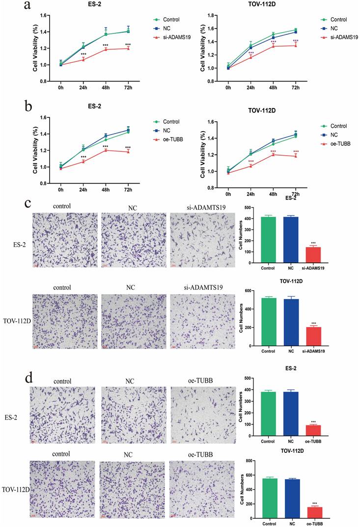 Int J Med Sci Image