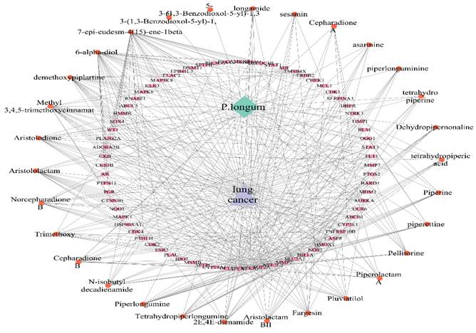 Int J Med Sci Image