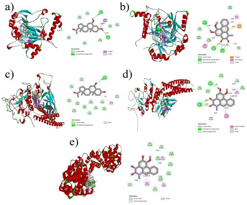 Int J Med Sci Image