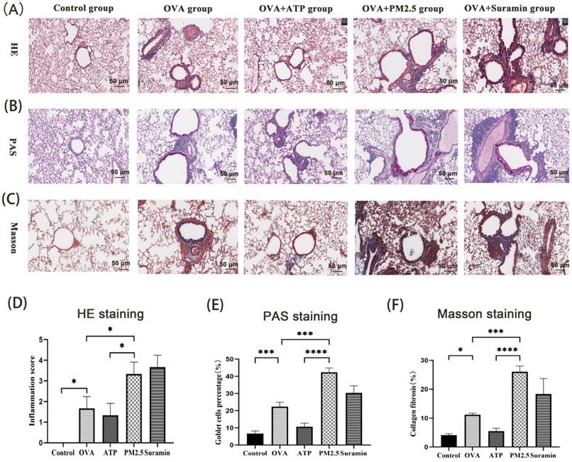 Int J Med Sci Image