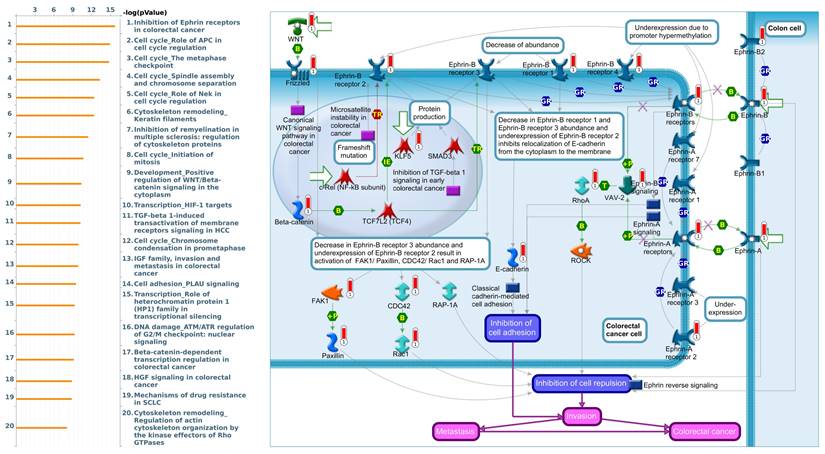 Int J Med Sci Image