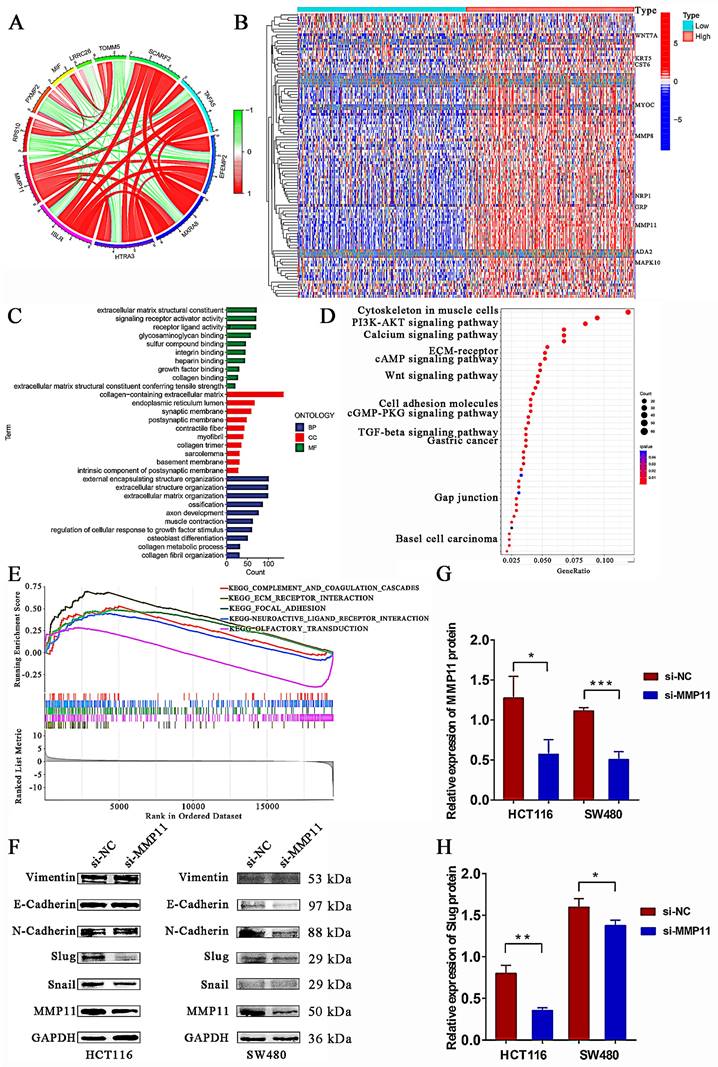 Int J Med Sci Image