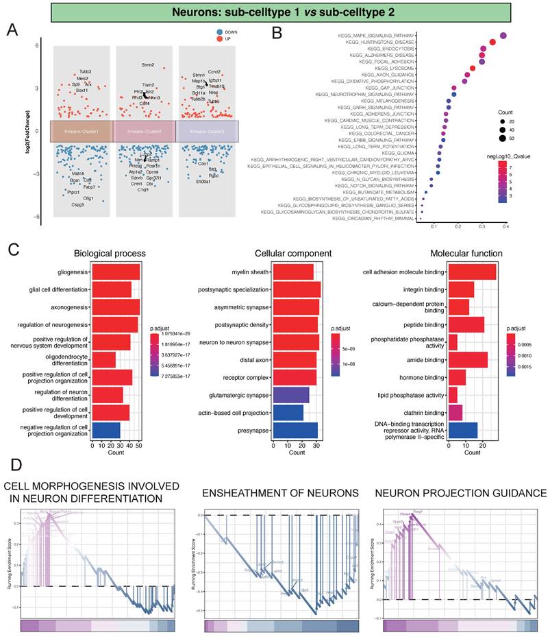 Int J Med Sci Image