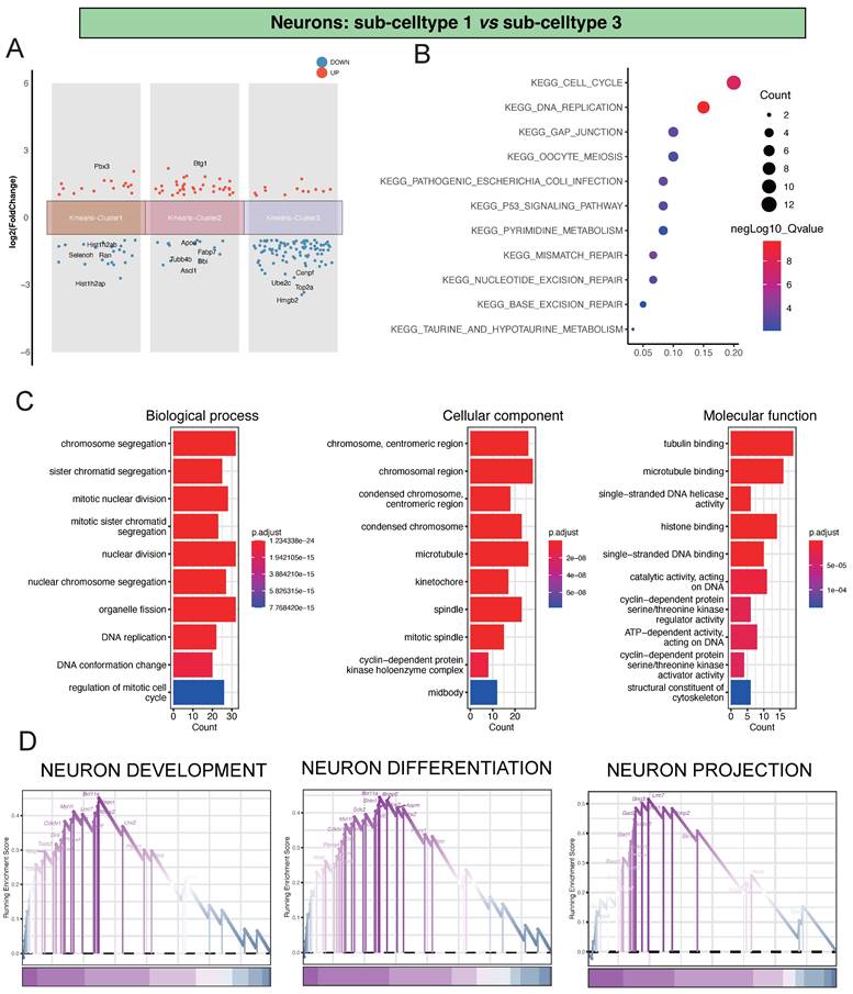 Int J Med Sci Image