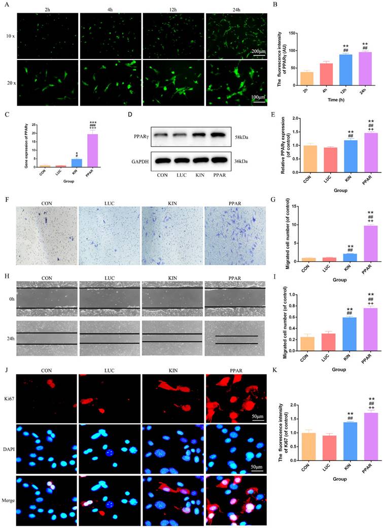 Int J Med Sci Image