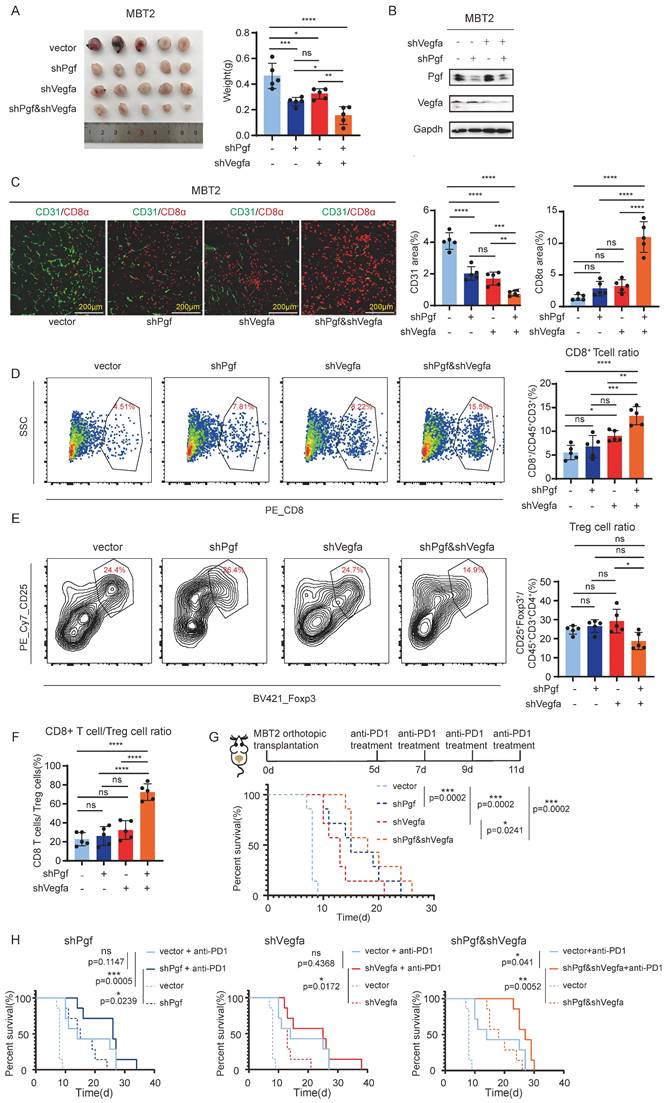 Int J Med Sci Image