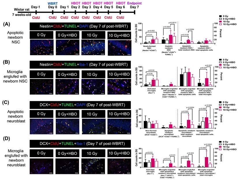 Int J Med Sci Image