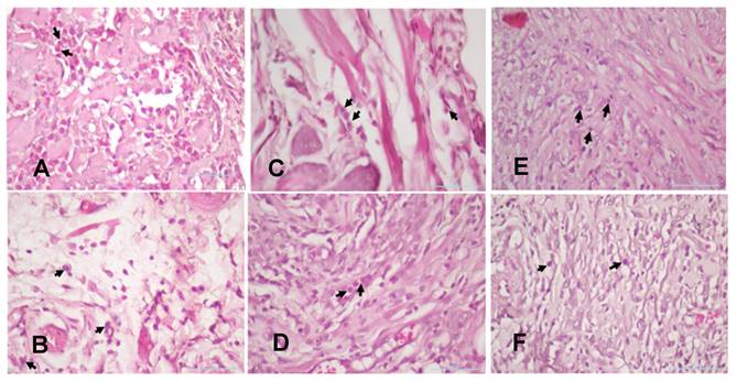 Int J Med Sci Image