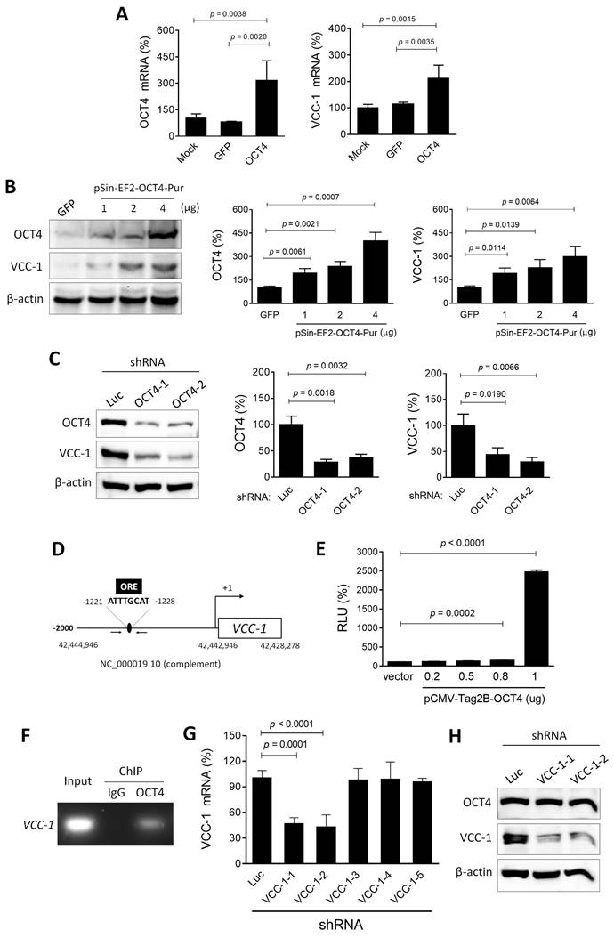 Int J Med Sci Image