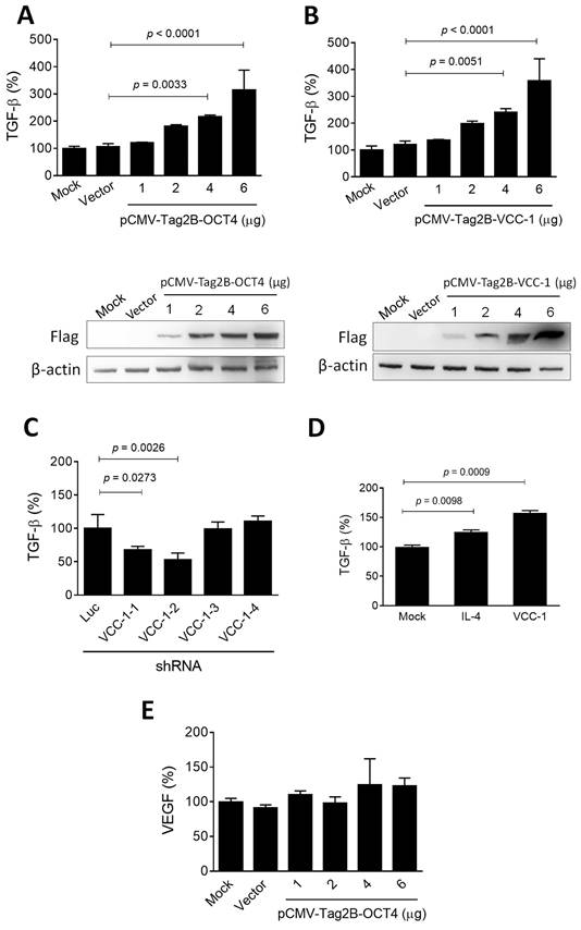 Int J Med Sci Image