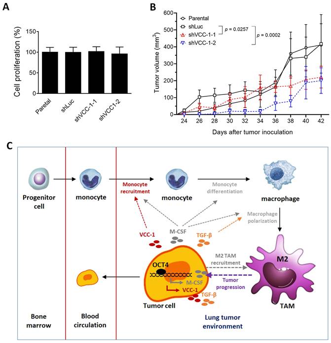 Int J Med Sci Image
