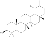 Int J Med Sci inline graphic