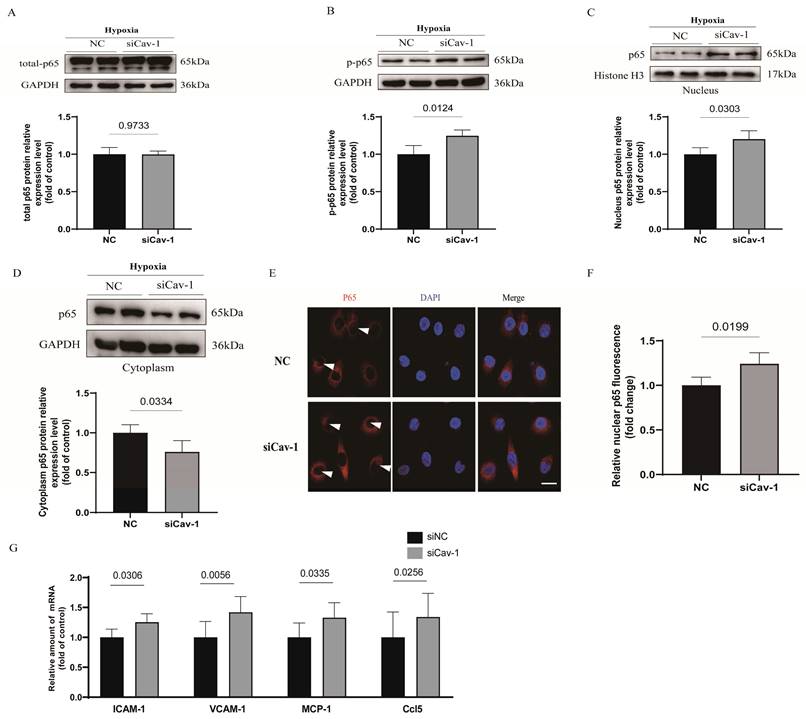 Int J Med Sci Image