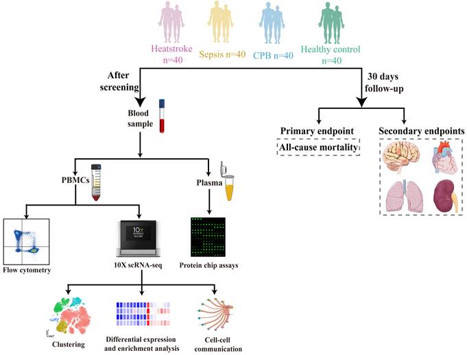 Int J Med Sci Image