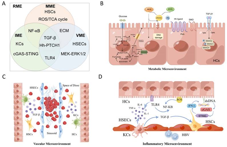 Int J Med Sci Image