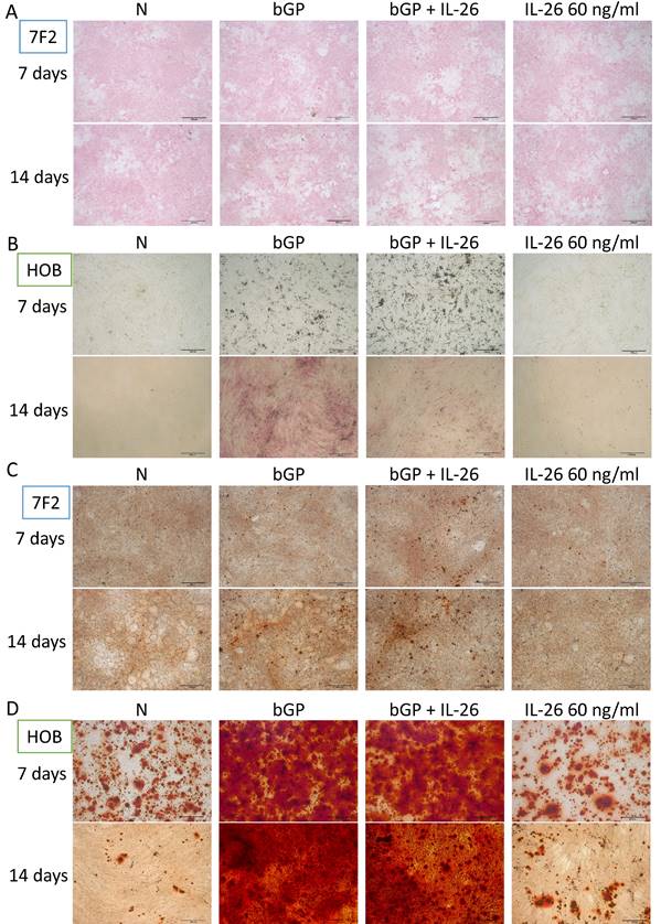 Int J Med Sci Image