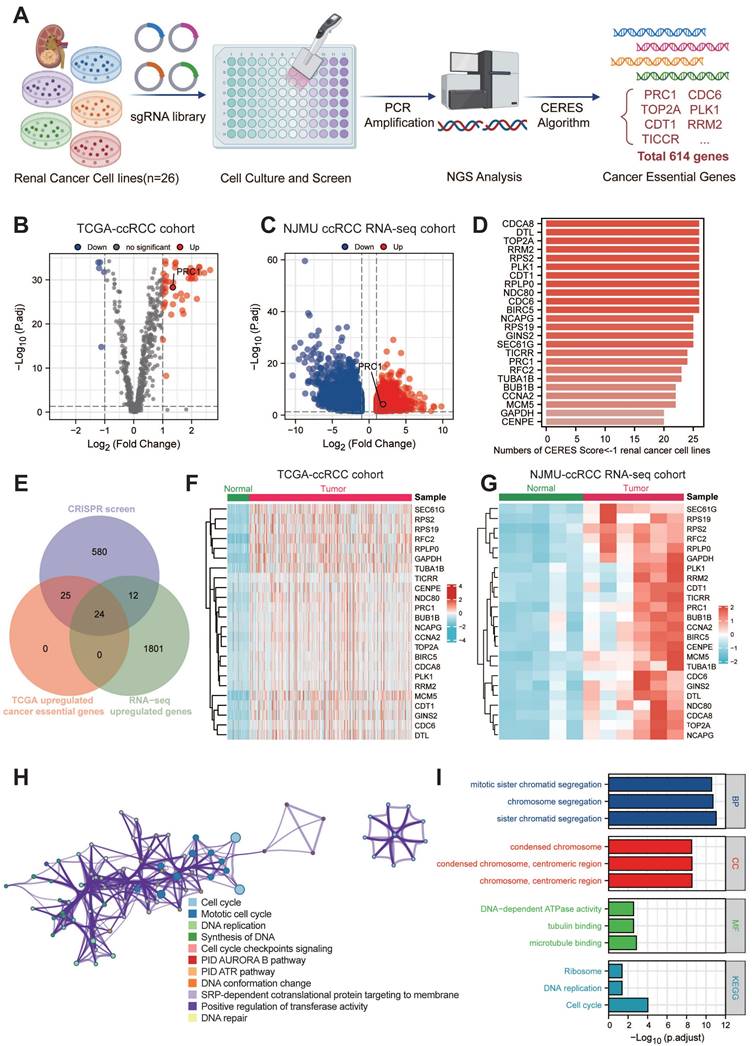 Int J Med Sci Image