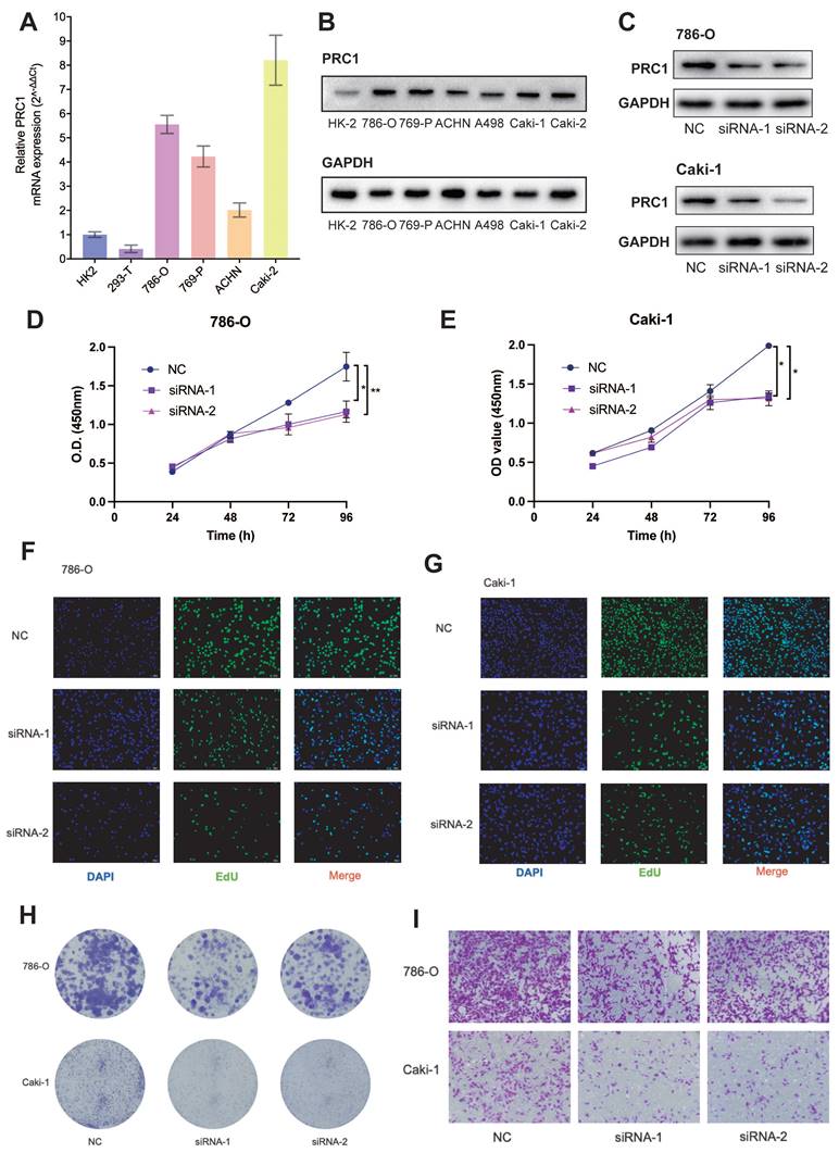 Int J Med Sci Image