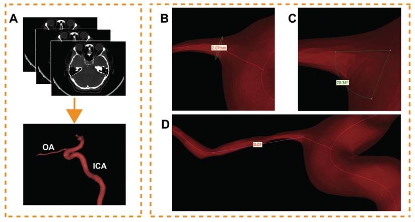 Int J Med Sci Image