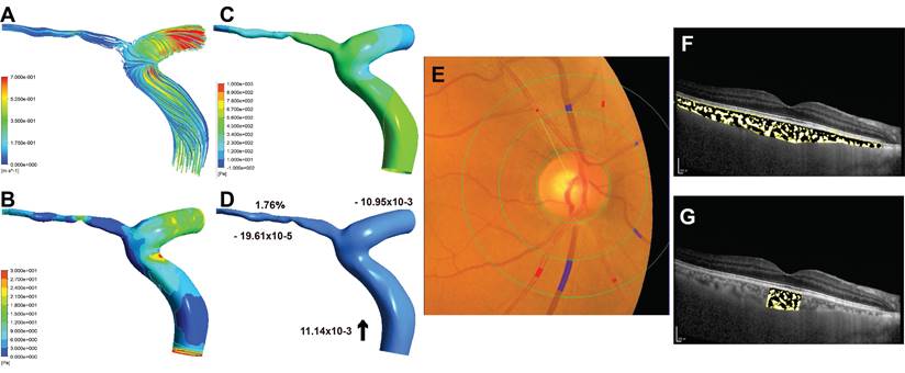 Int J Med Sci Image