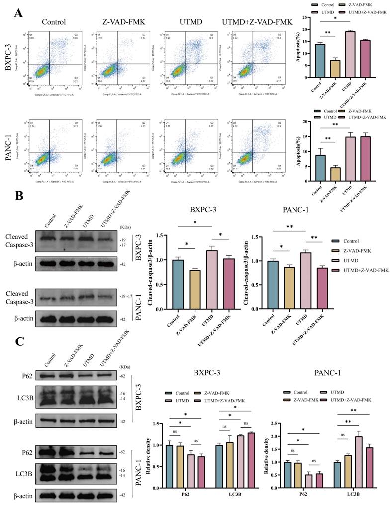 Int J Med Sci Image
